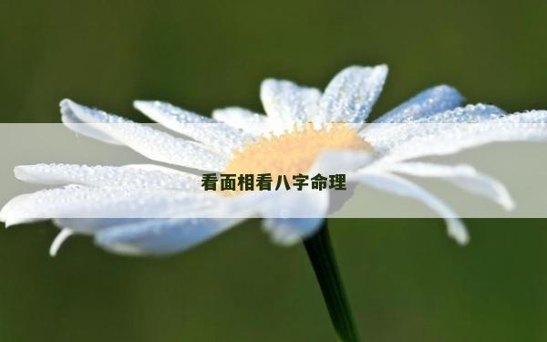 看面相看八字命理