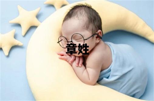章姓有灵气的男孩名字