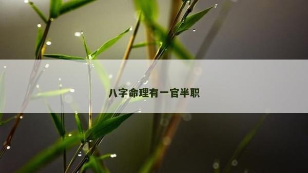 八字命理有一官半职