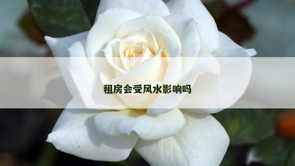 租房会受风水影响吗