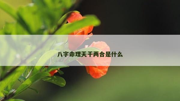 八字命理天干两合是什么