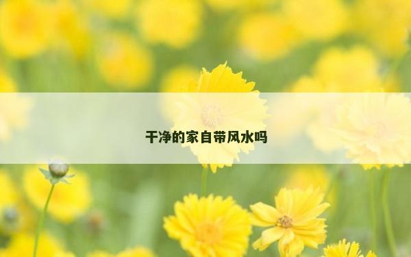干净的家自带风水吗