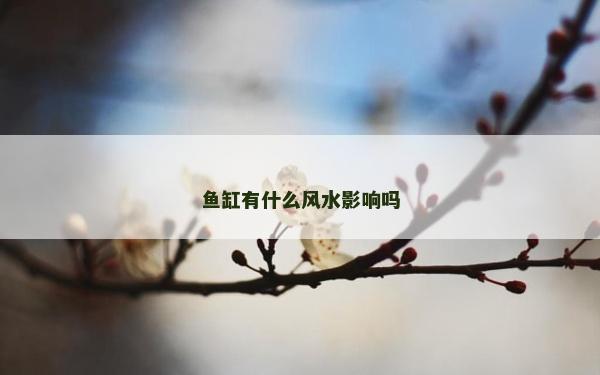 鱼缸有什么风水影响吗