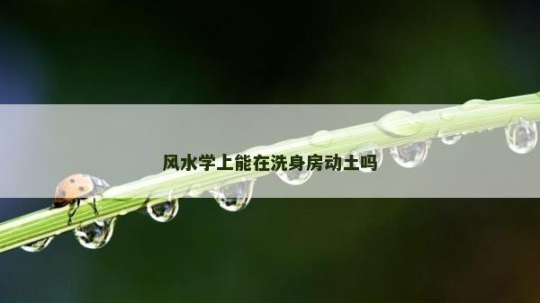 风水学上能在洗身房动土吗