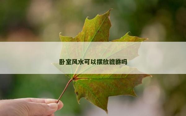 卧室风水可以摆放貔貅吗