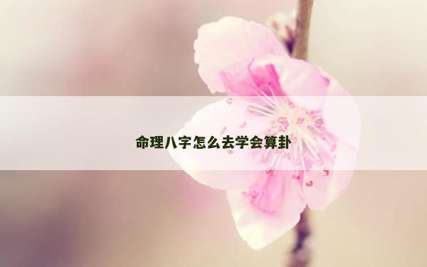 命理八字怎么去学会算卦