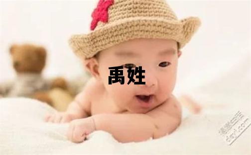 禹姓取名优美的女宝宝名字