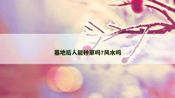 墓地后人能种草吗?风水吗