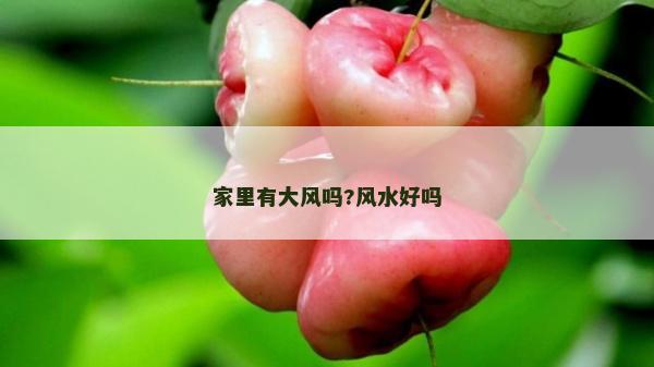 家里有大风吗?风水好吗