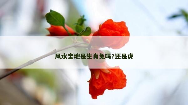 风水宝地是生肖兔吗?还是虎