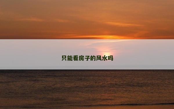 只能看房子的风水吗