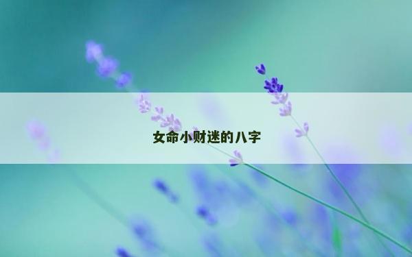 女命小财迷的八字