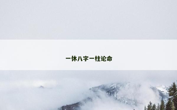 一休八字一柱论命