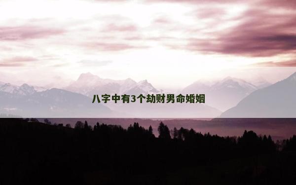 八字中有3个劫财男命婚姻