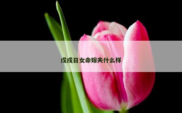 戊戌日女命嫁夫什么样