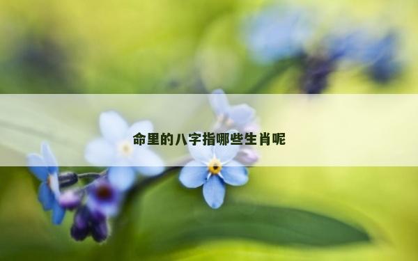 命里的八字指哪些生肖呢