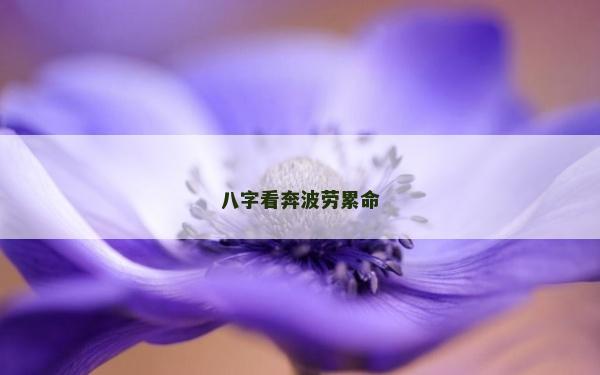 八字看奔波劳累命