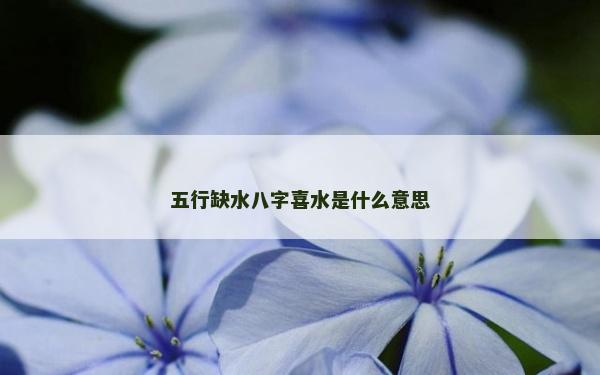 五行缺水八字喜水是什么意思