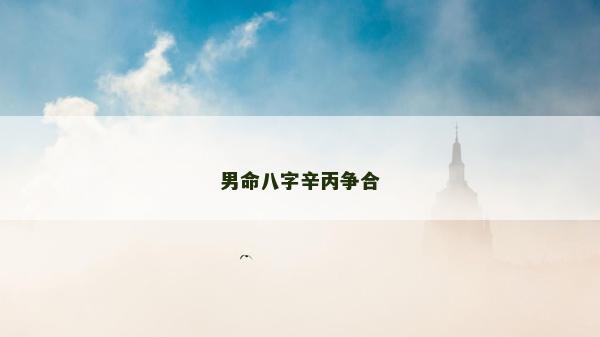 男命八字辛丙争合