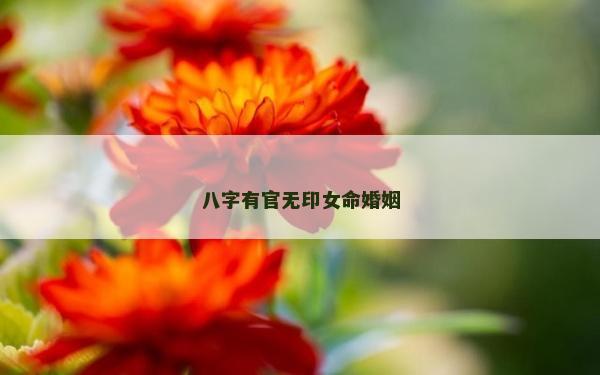 八字有官无印女命婚姻