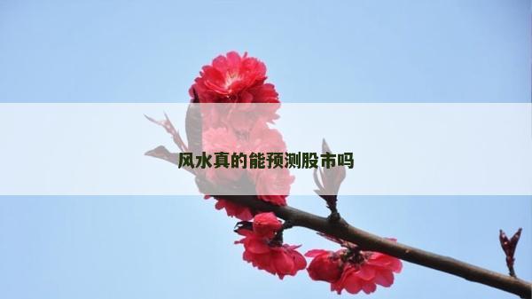 风水真的能预测股市吗