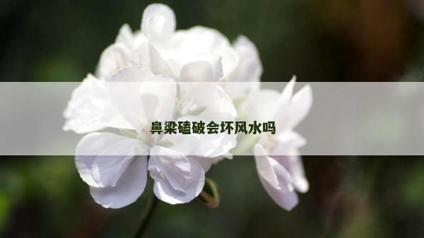 鼻梁磕破会坏风水吗