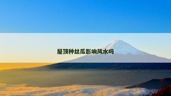 屋顶种丝瓜影响风水吗