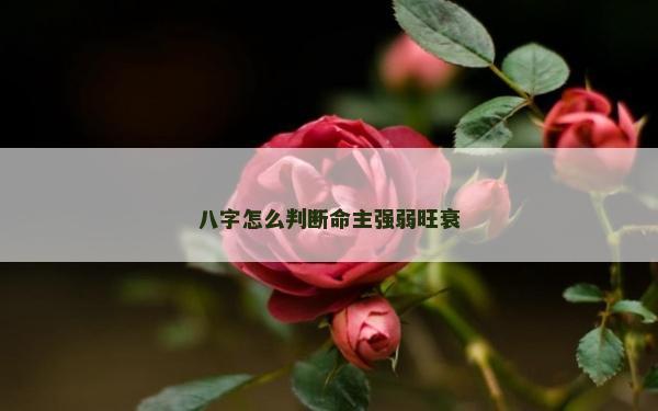 八字怎么判断命主强弱旺衰