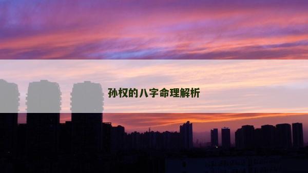 孙权的八字命理解析