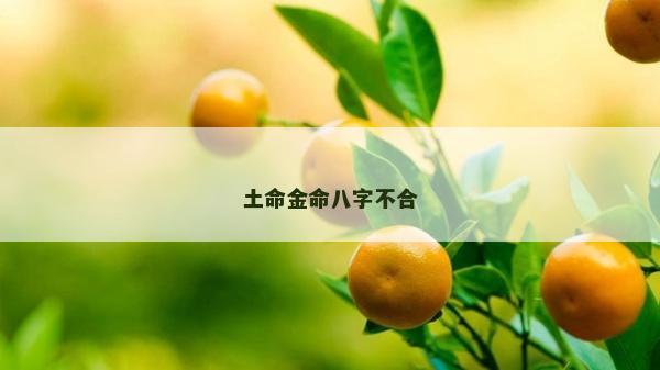 土命金命八字不合