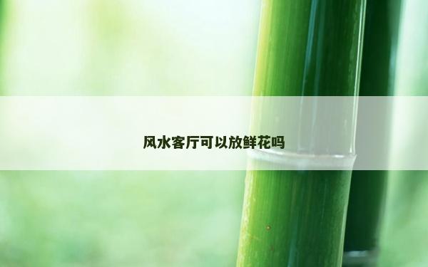 风水客厅可以放鲜花吗