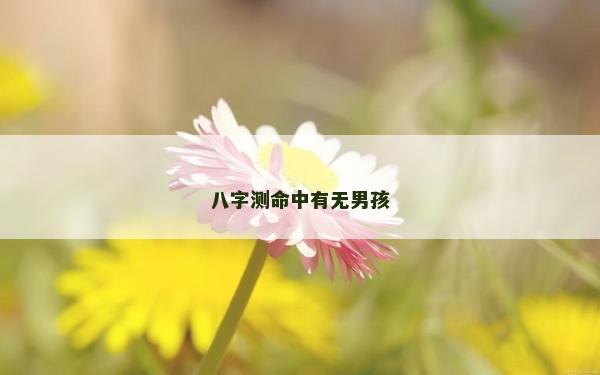 八字测命中有无男孩