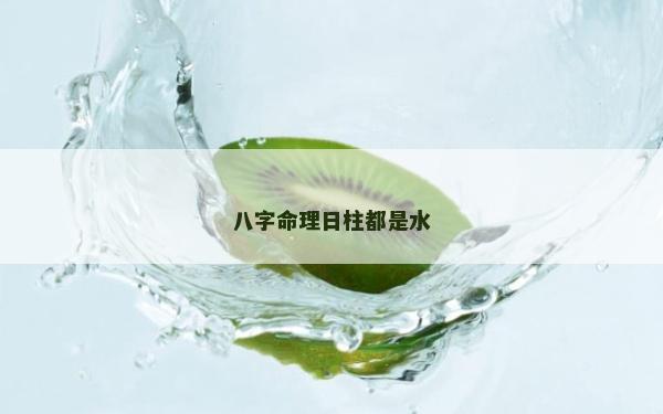 八字命理日柱都是水