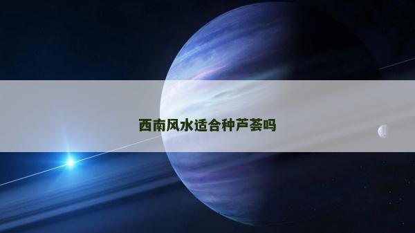 西南风水适合种芦荟吗