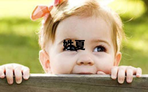 姓夏叫什么名字好 姓夏的男孩有气质的名字