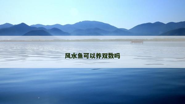 风水鱼可以养双数吗