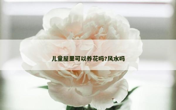 儿童屋里可以养花吗?风水吗