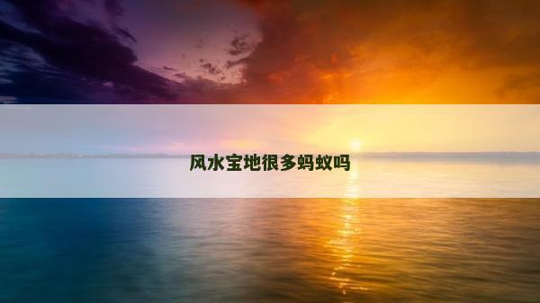 风水宝地很多蚂蚁吗