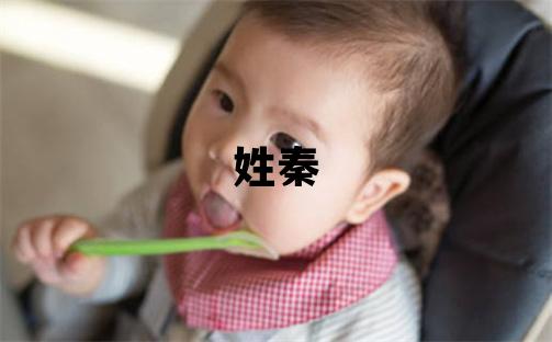 姓秦叫什么名字好 姓秦的女孩洋气的名字