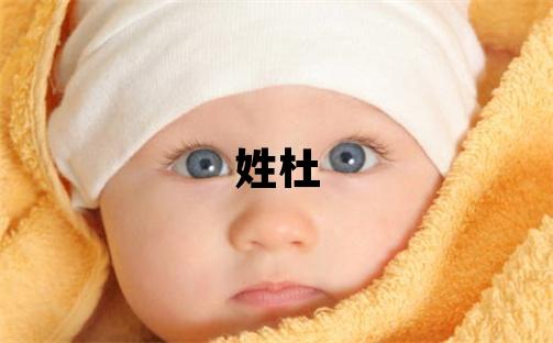 姓杜叫什么名字好 姓杜的男孩有含义的名字