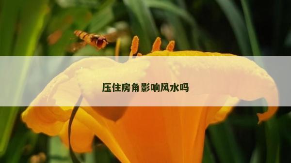压住房角影响风水吗