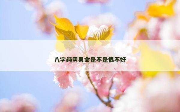 八字纯阴男命是不是很不好