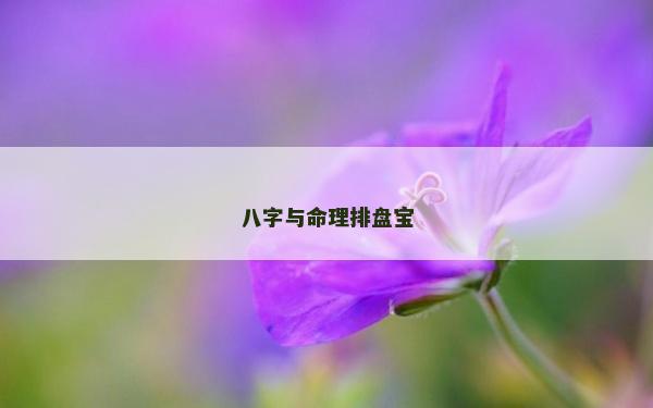 八字与命理排盘宝