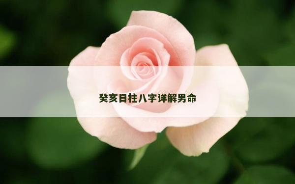 癸亥日柱八字详解男命