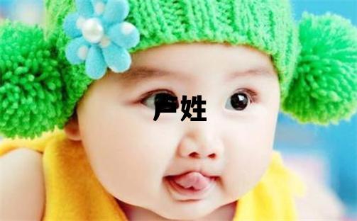 卢姓吉利的男孩名字,取什么名字好