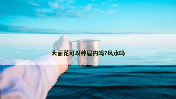 大丽花可以种屋内吗?风水吗