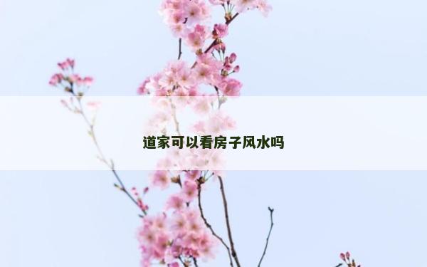 道家可以看房子风水吗