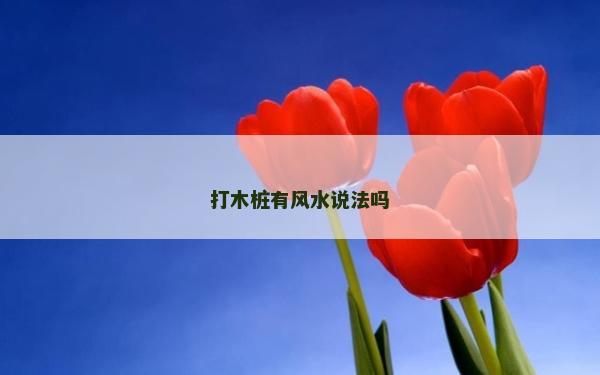 打木桩有风水说法吗