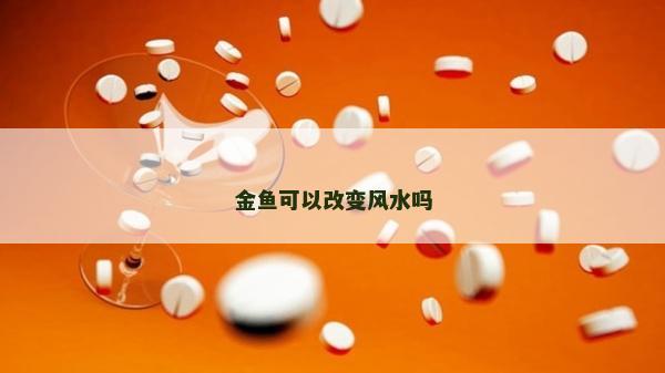 金鱼可以改变风水吗
