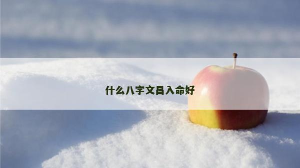 什么八字文昌入命好